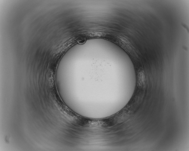 X0000102790414200809021118