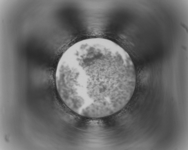 X0000102790415200809021118