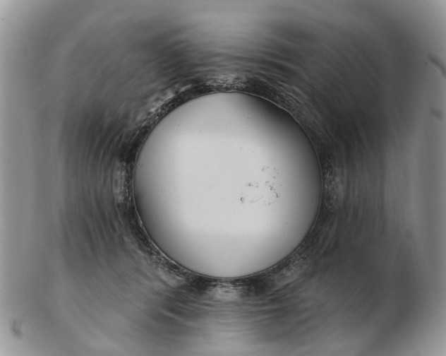 X0000102790416200809021118