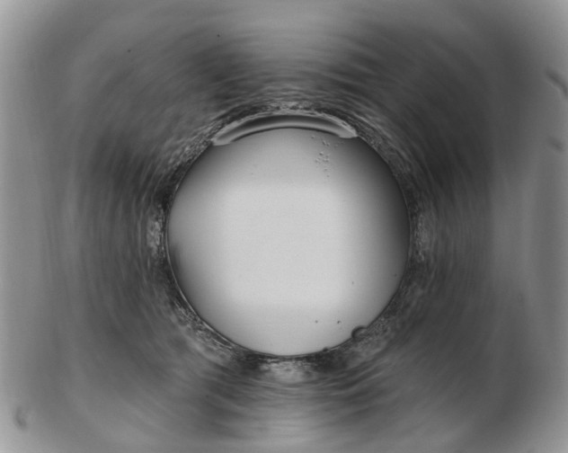 X0000102790417200809021118