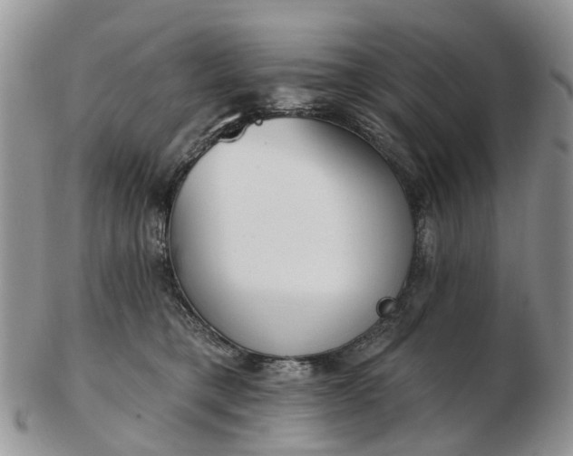 X0000102790421200809021118