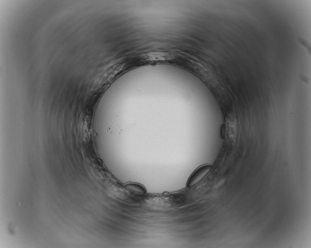 X0000102790422200809021118