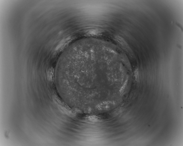 X0000102790423200809021118