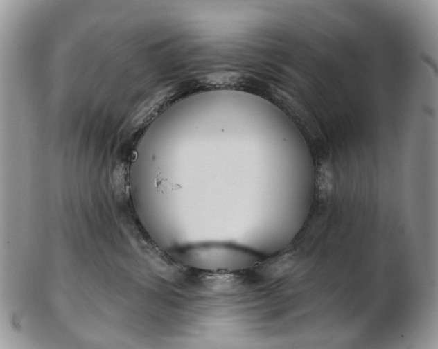 X0000102790428200809021118