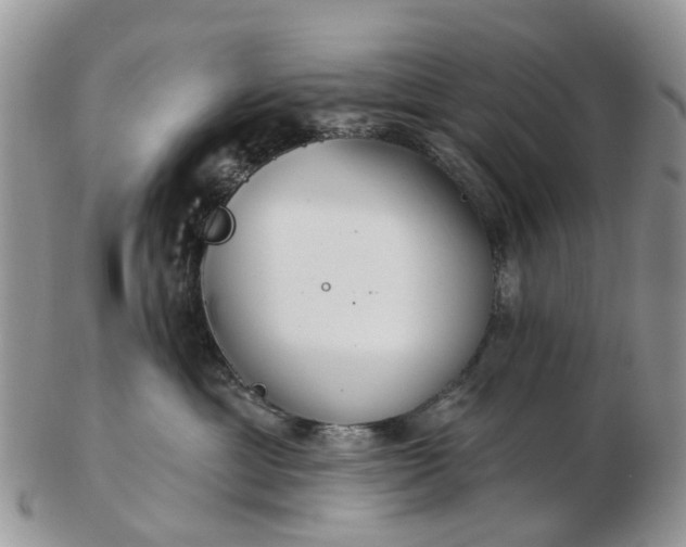 X0000102790429200809021118