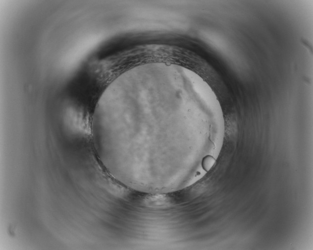 X0000102790431200809021118