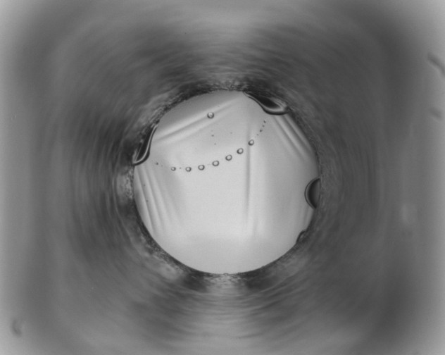 X0000102790432200809021118