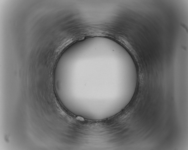 X0000102790433200809021118