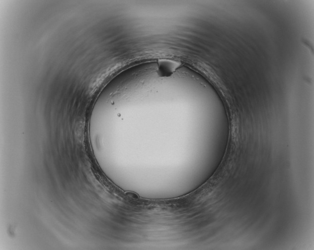 X0000102790434200809021118