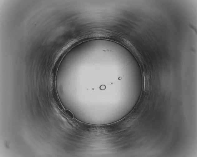 X0000102790435200809021118