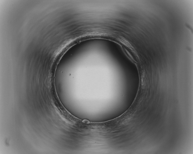 X0000102790436200809021118