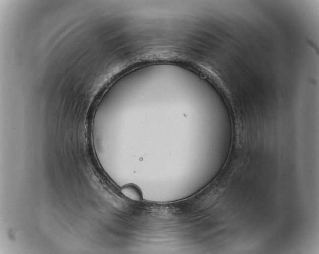 X0000102790439200809021118