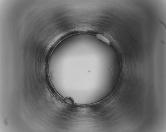 X0000102790440200809021118