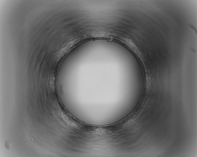 X0000102790441200809021118