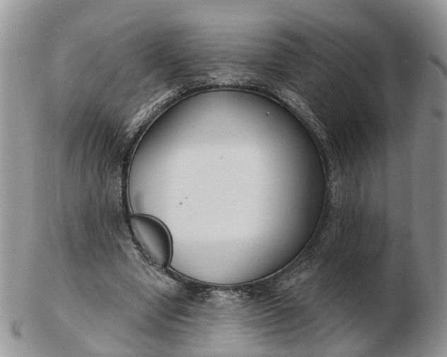 X0000102790442200809021118