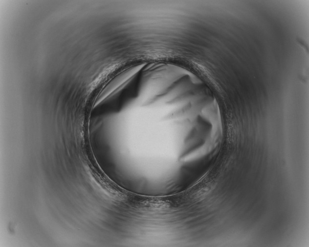 X0000102790443200809021118