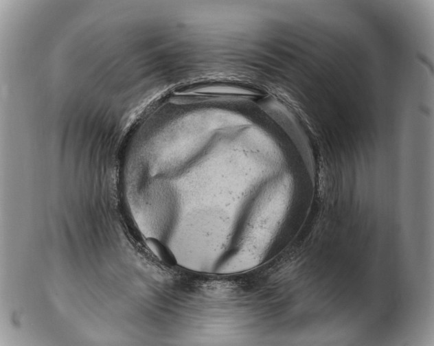 X0000102790444200809021118