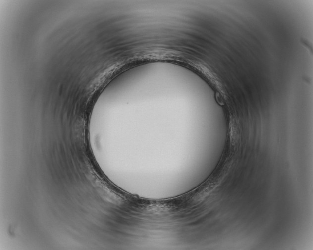 X0000102790445200809021118