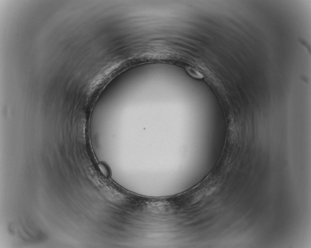 X0000102790446200809021118