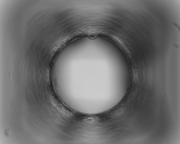 X0000102790447200809021118