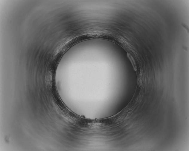 X0000102790448200809021118