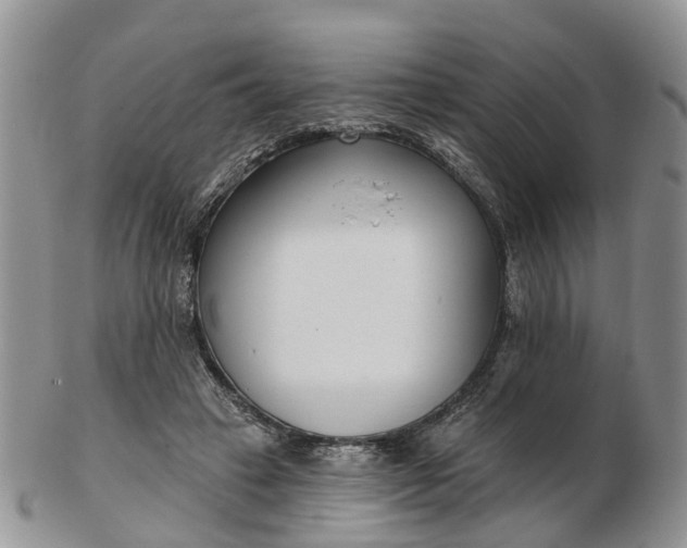 X0000102790449200809021118