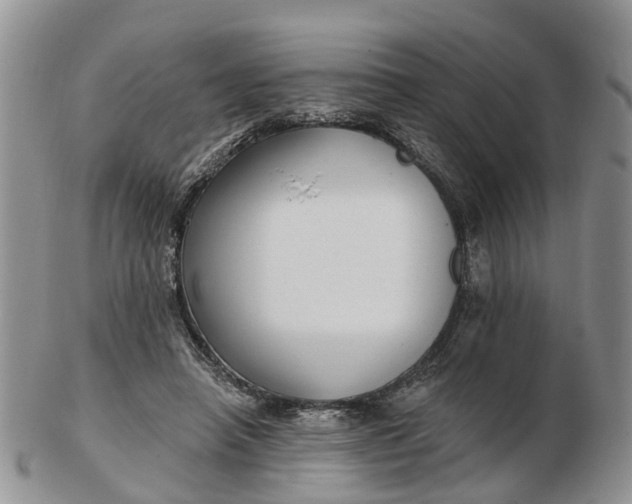 X0000102790450200809021118