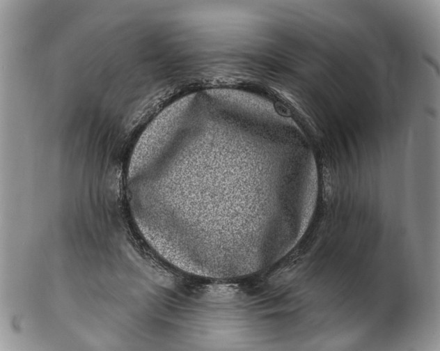 X0000102790451200809021118