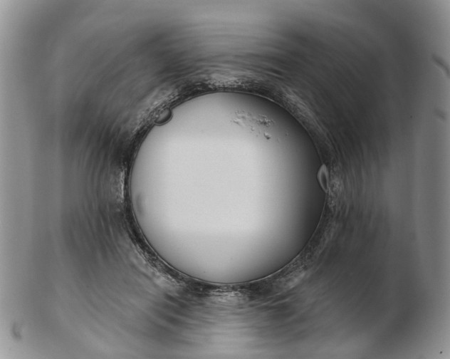 X0000102790454200809021118