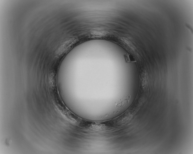 X0000102790455200809021118