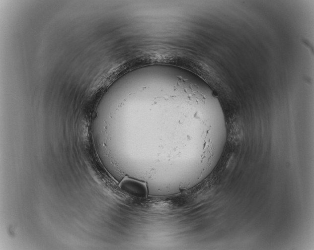 X0000102790456200809021118