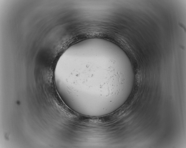 X0000102790458200809021118