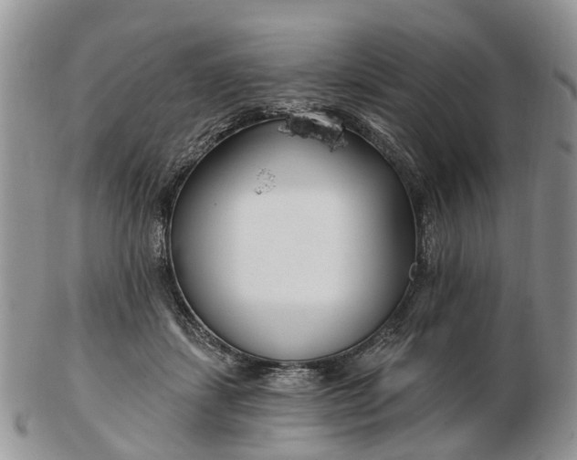 X0000102790459200809021118