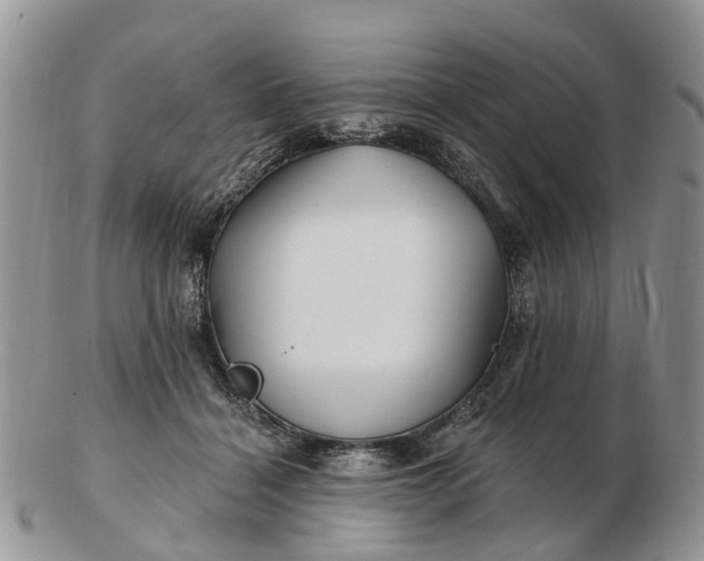 X0000102790460200809021118