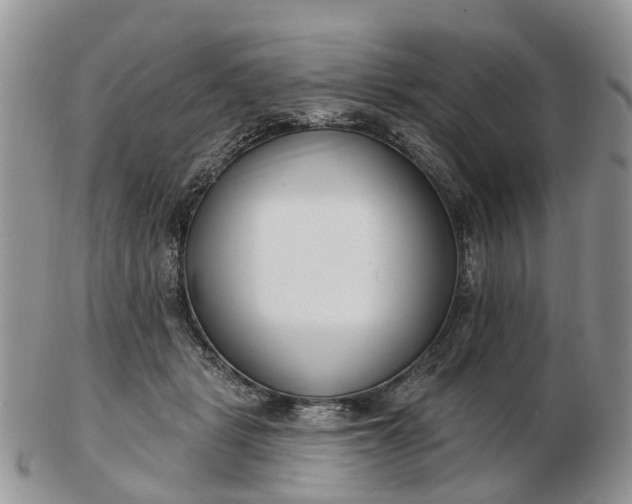 X0000102790461200809021118