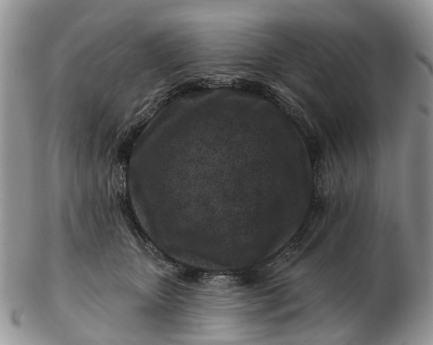 X0000102790467200809021118