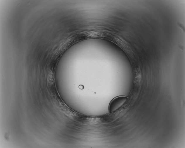 X0000102790469200809021118