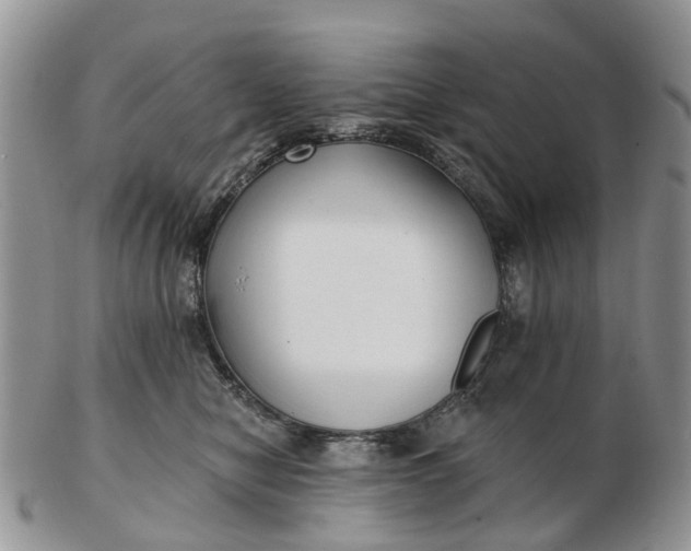 X0000102790470200809021118