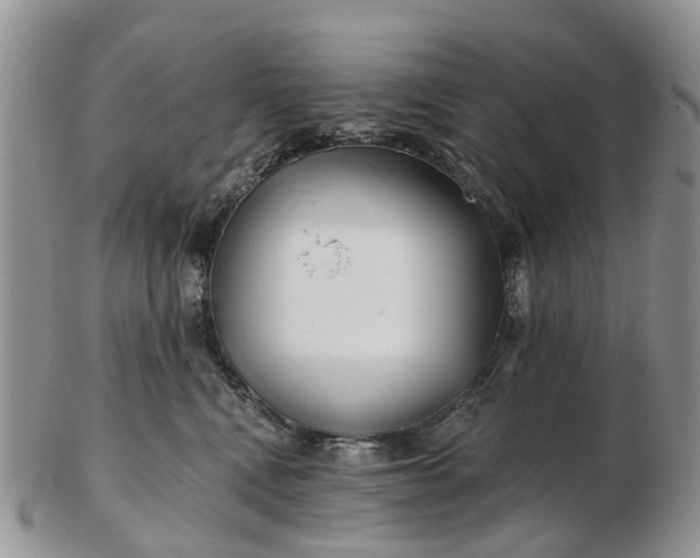 X0000102790472200809021118