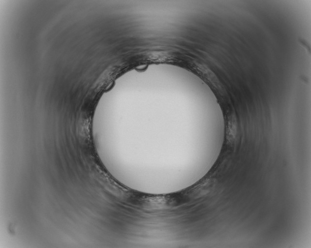 X0000102790473200809021118