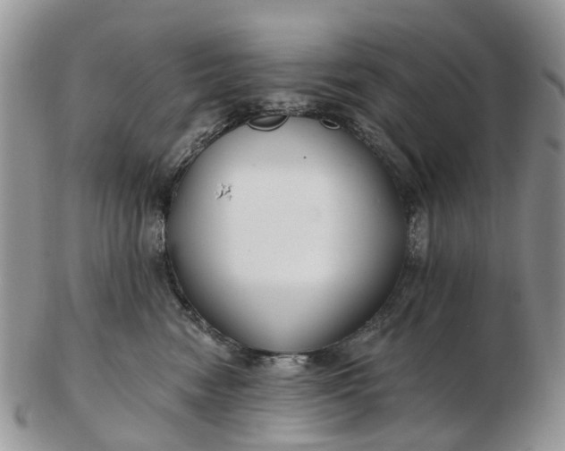 X0000102790474200809021118