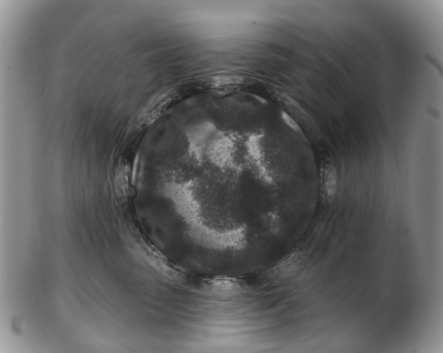 X0000102790475200809021118