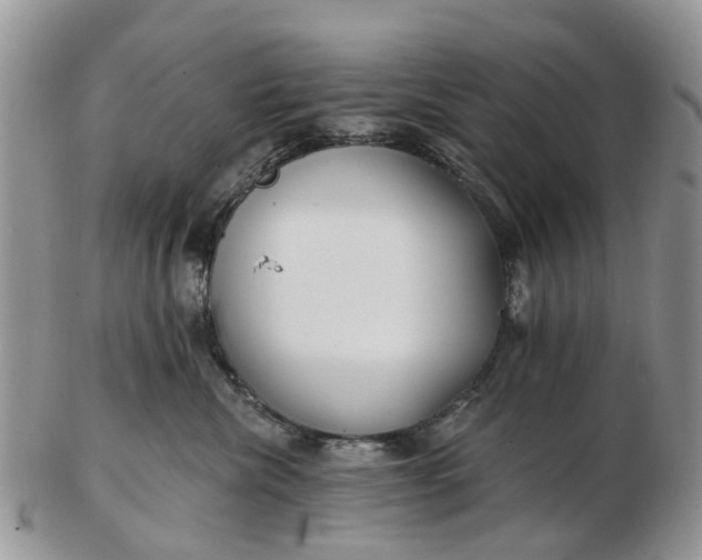 X0000102790476200809021118