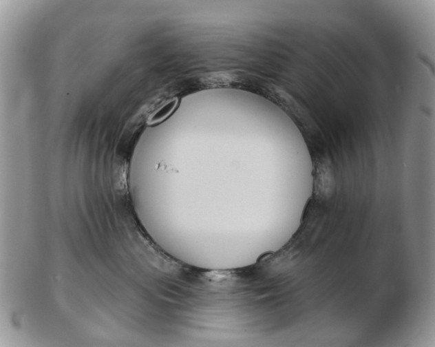 X0000102790477200809021118