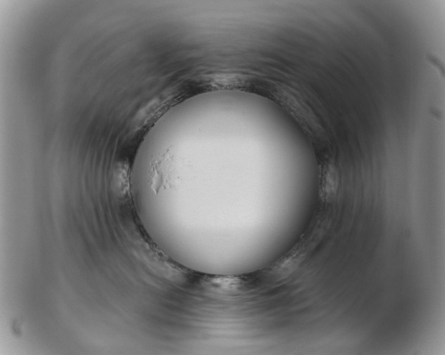 X0000102790478200809021118