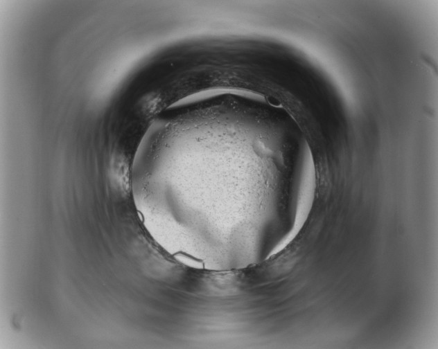 X0000102790479200809021118