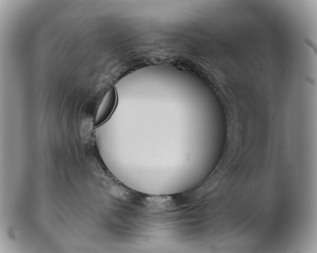 X0000102790480200809021118