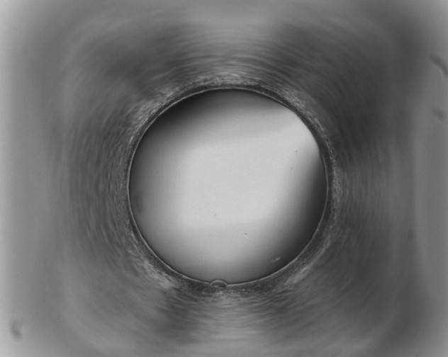 X0000102790481200809021118