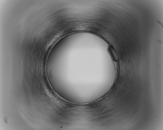 X0000102790482200809021118