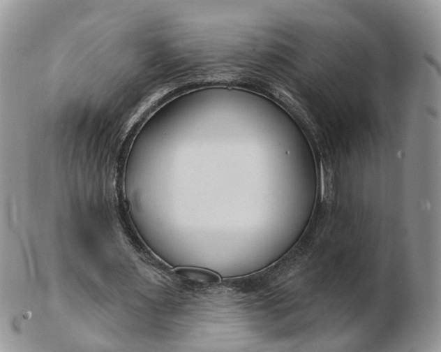 X0000102790483200809021118